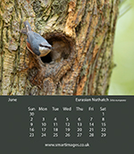 photo by Oliver Smart